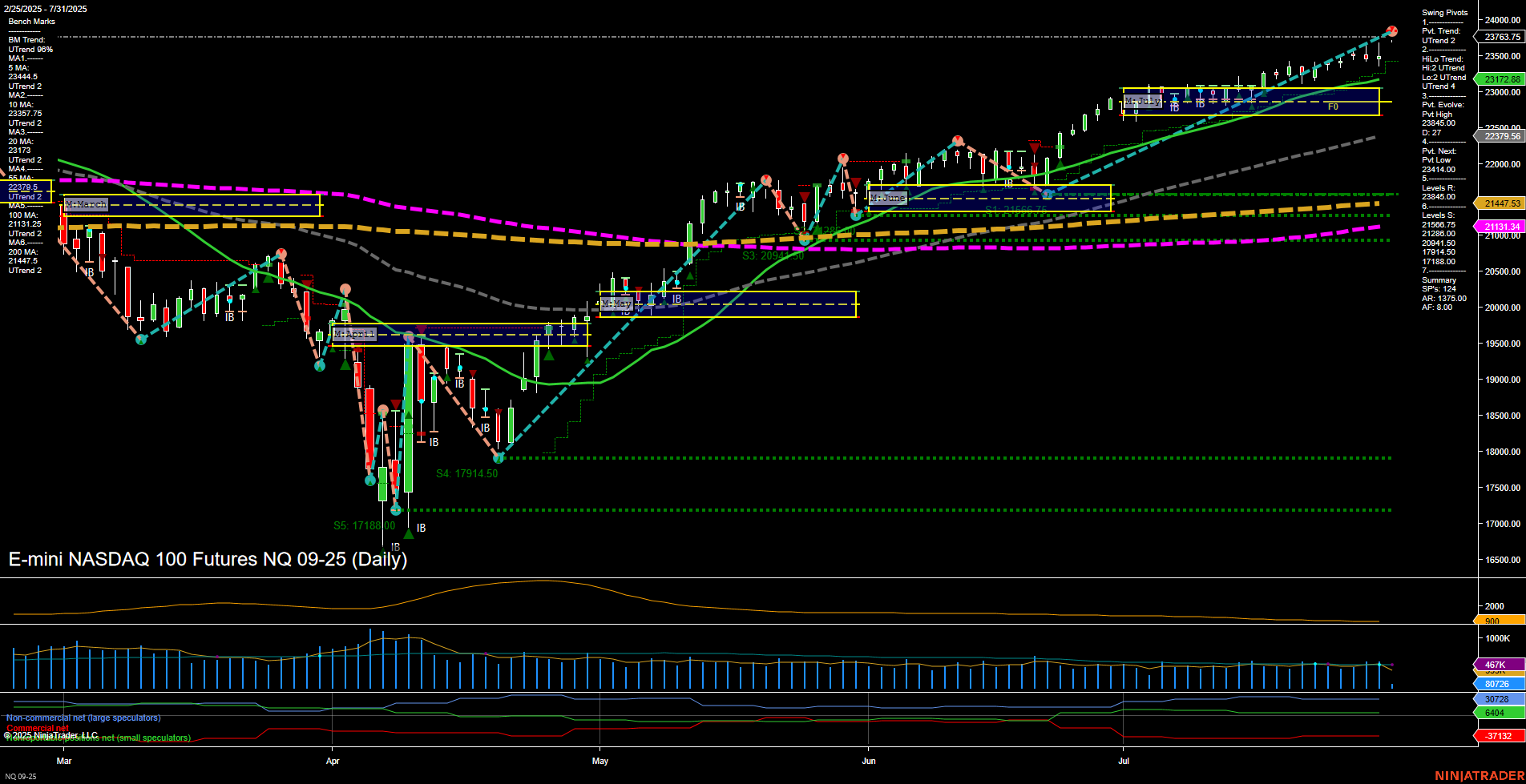 NQ E-mini NASDAQ 100 Futures Daily Chart Analysis: 2025-Jul-31 07:10 CT
