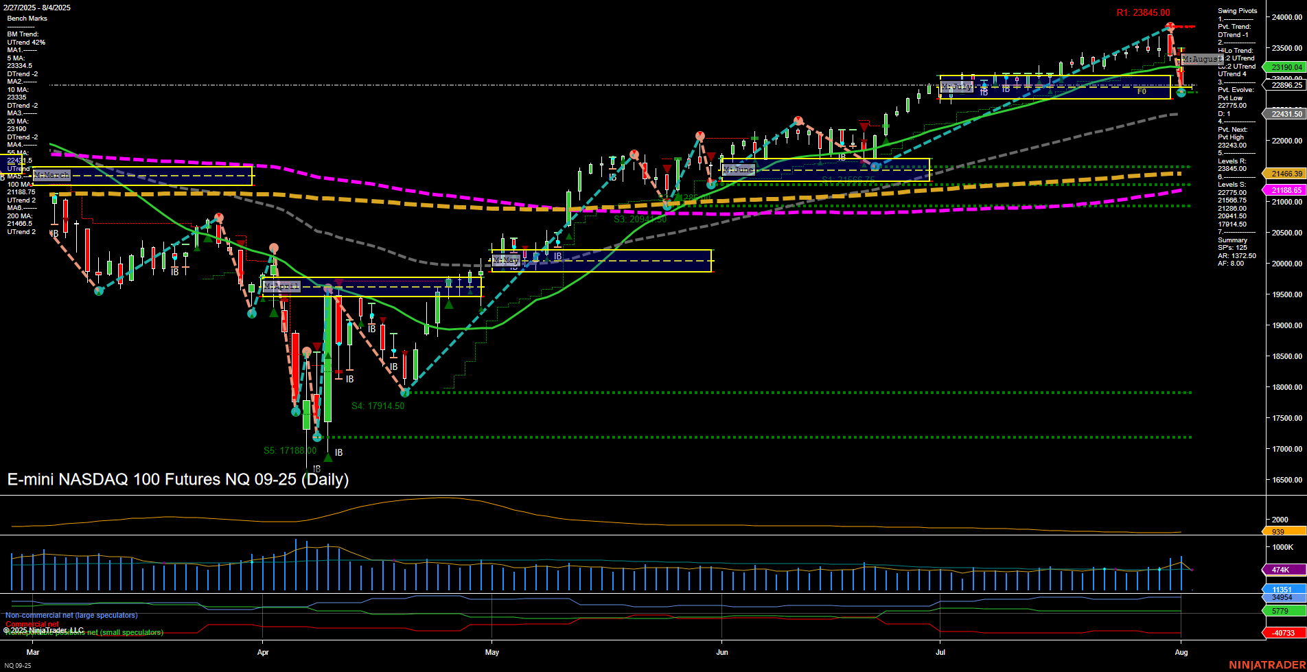 NQ E-mini NASDAQ 100 Futures Daily Chart Analysis: 2025-Aug-03 18:08 CT