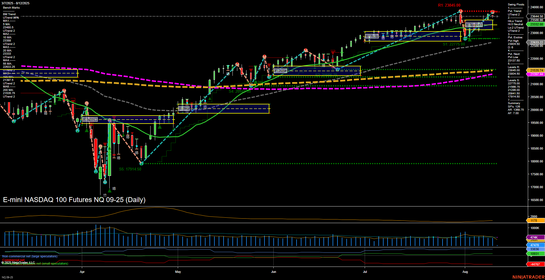 NQ E-mini NASDAQ 100 Futures Daily Chart Analysis: 2025-Aug-12 07:11 CT