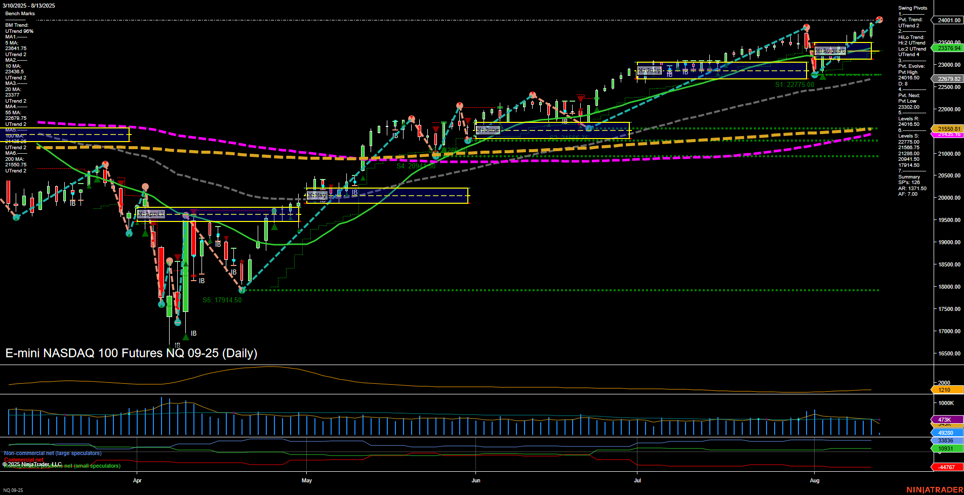 NQ E-mini NASDAQ 100 Futures Daily Chart Analysis: 2025-Aug-13 07:12 CT
