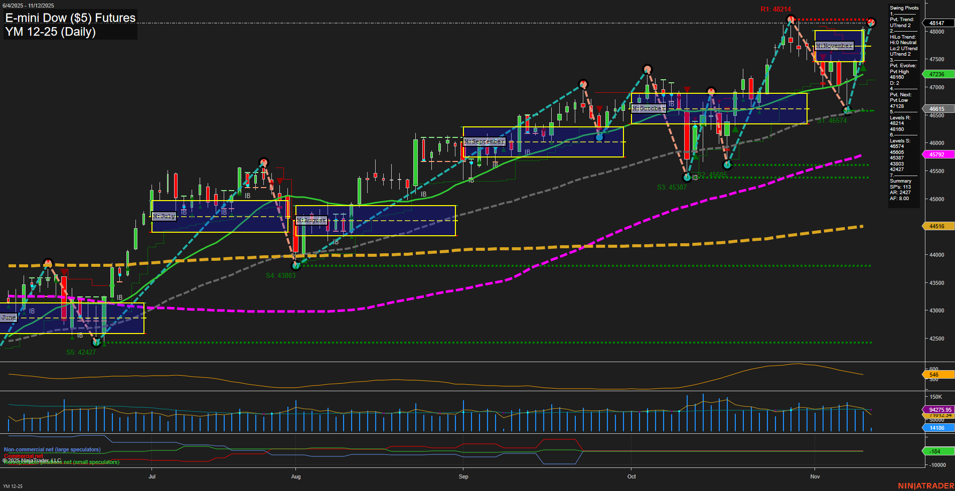 YM E-mini Dow ($5) Futures Daily Chart Analysis: 2025-Nov-12 07:22 CT