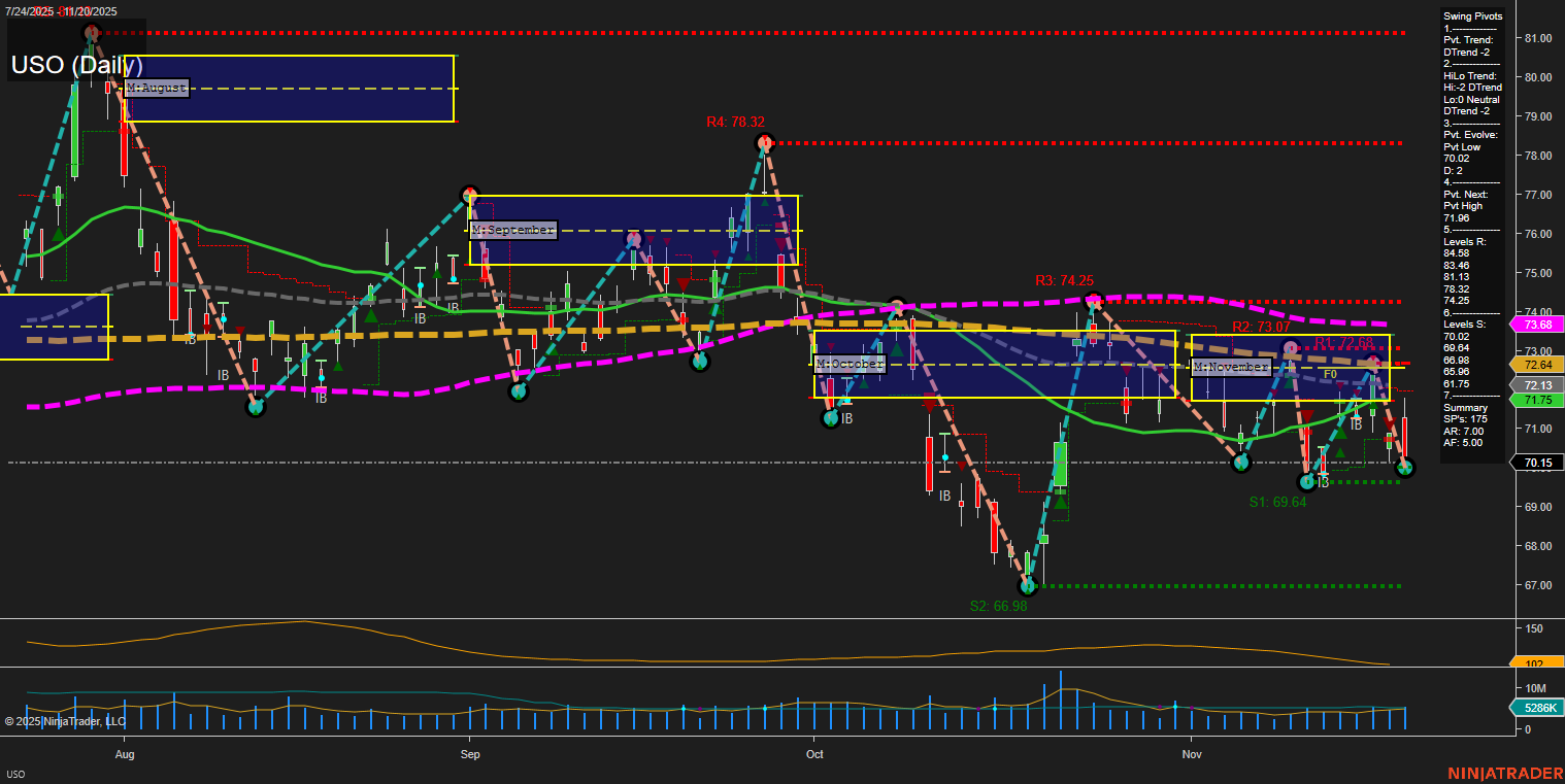 USO United States Oil Fund LP Daily Chart Analysis: 2025-Nov-21 07:22 CT
