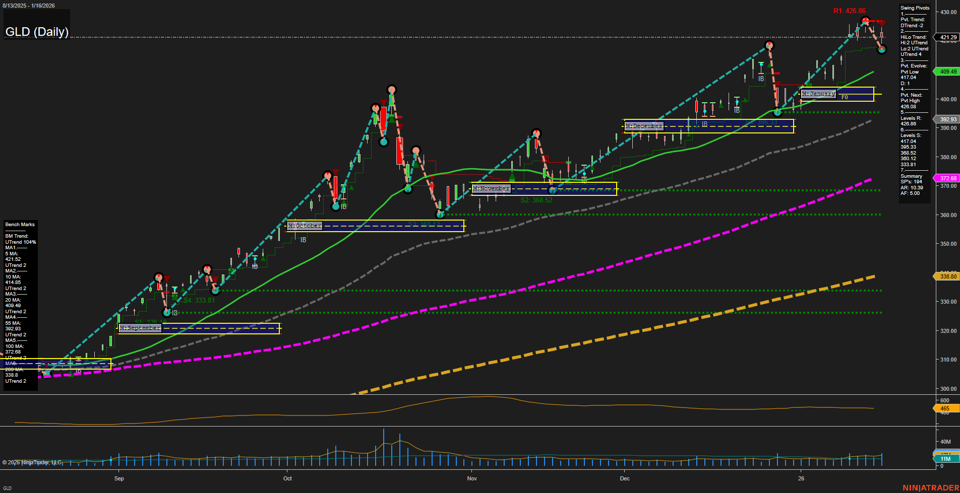 GLD SPDR Gold Shares Daily Chart Analysis: 2026-Jan-20 07:11 CT