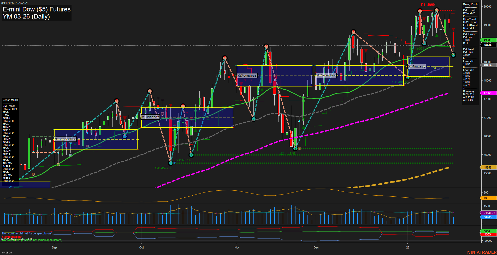 YM E-mini Dow ($5) Futures Daily Chart Analysis: 2026-Jan-20 07:20 CT