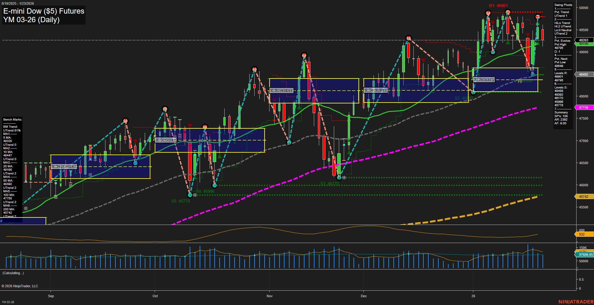 YM E-mini Dow ($5) Futures Daily Chart Analysis: 2026-Jan-25 18:19 CT
