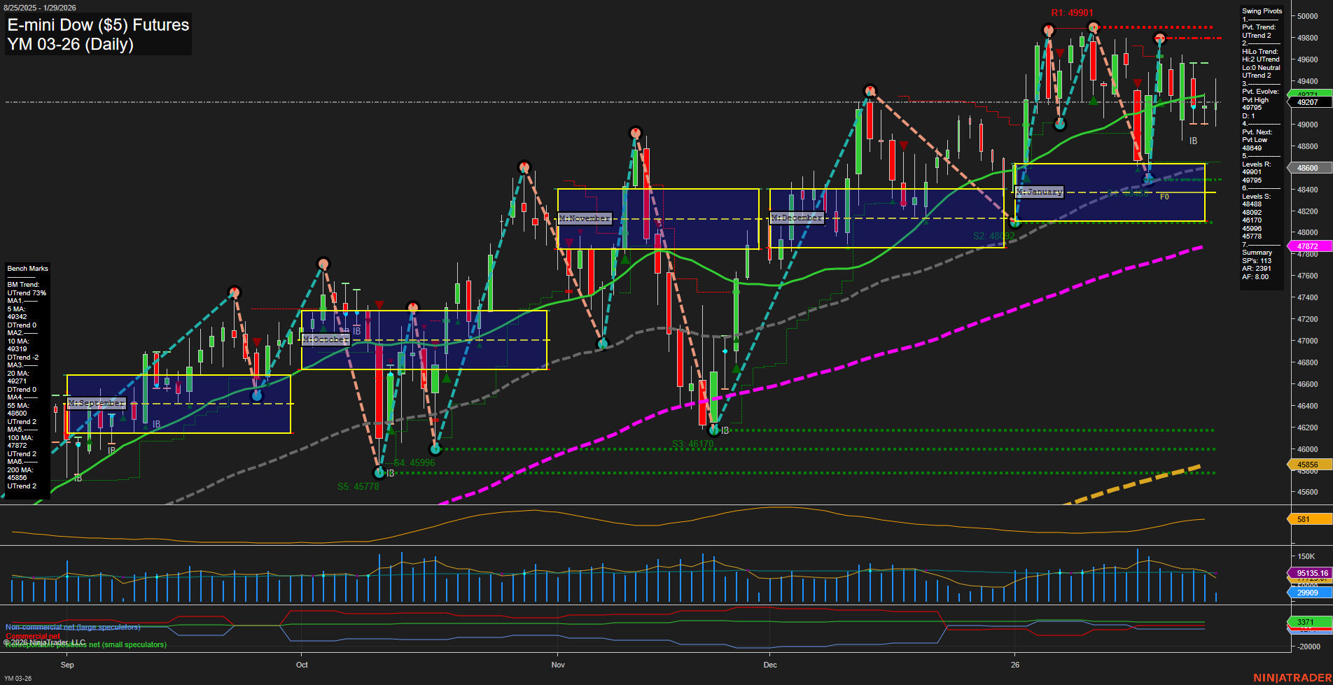 YM E-mini Dow ($5) Futures Daily Chart Analysis: 2026-Jan-29 07:22 CT