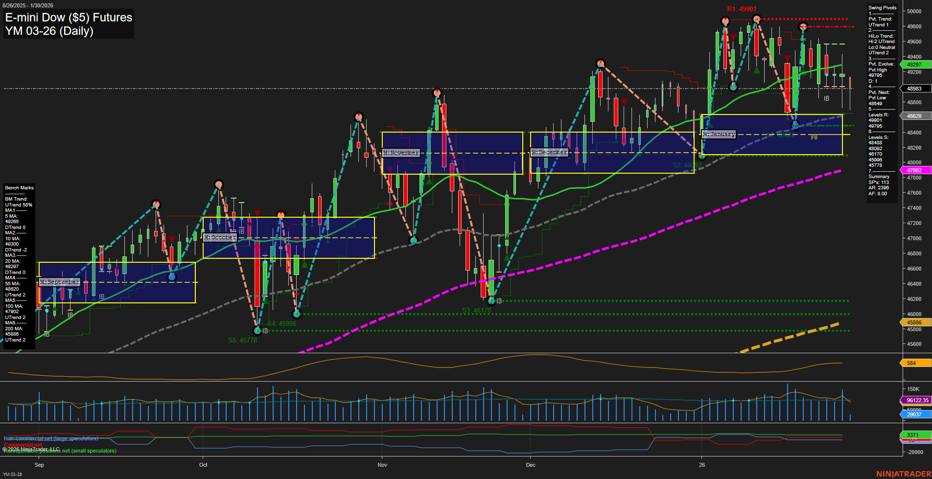 YM E-mini Dow ($5) Futures Daily Chart Analysis: 2026-Jan-30 07:21 CT