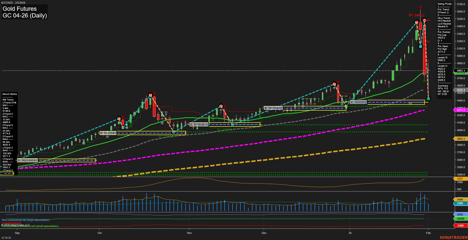 GC Gold Futures Daily Chart Analysis: 2026-Feb-02 07:11 CT