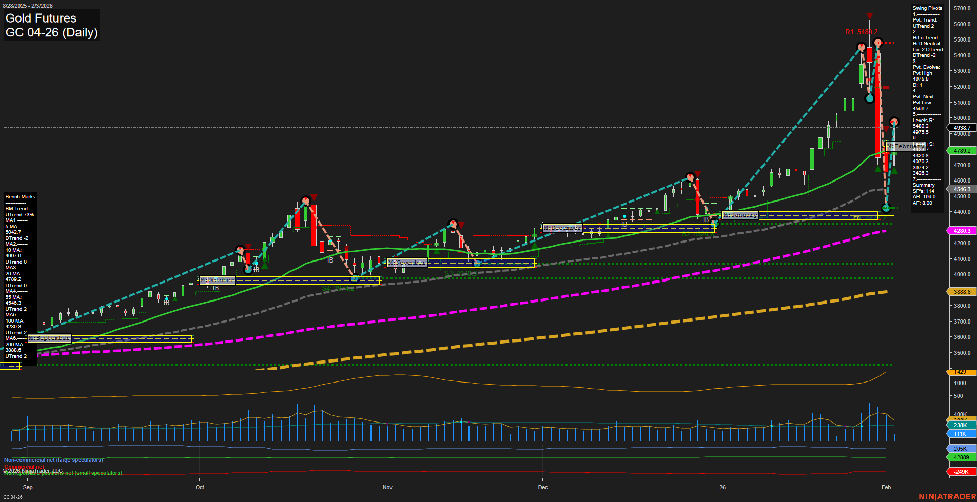 GC Gold Futures Daily Chart Analysis: 2026-Feb-03 07:11 CT