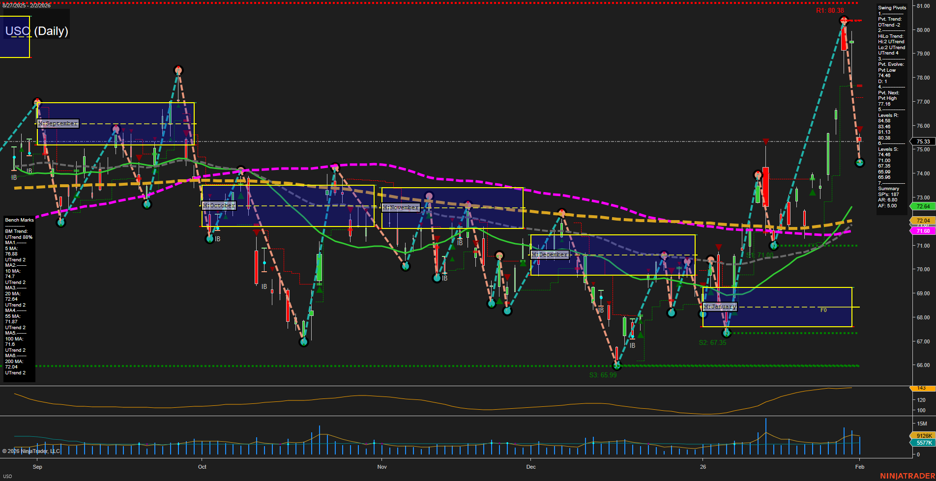 USO United States Oil Fund LP Daily Chart Analysis: 2026-Feb-03 07:21 CT