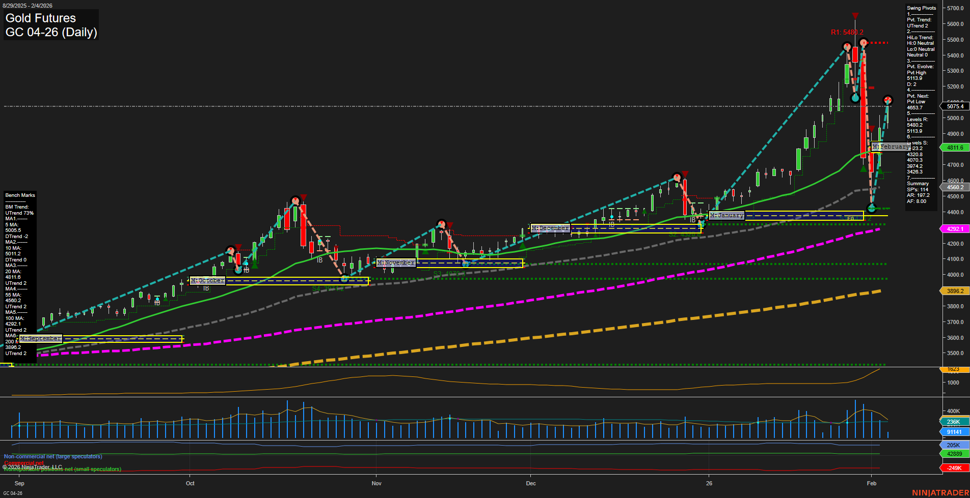 GC Gold Futures Daily Chart Analysis: 2026-Feb-04 07:10 CT
