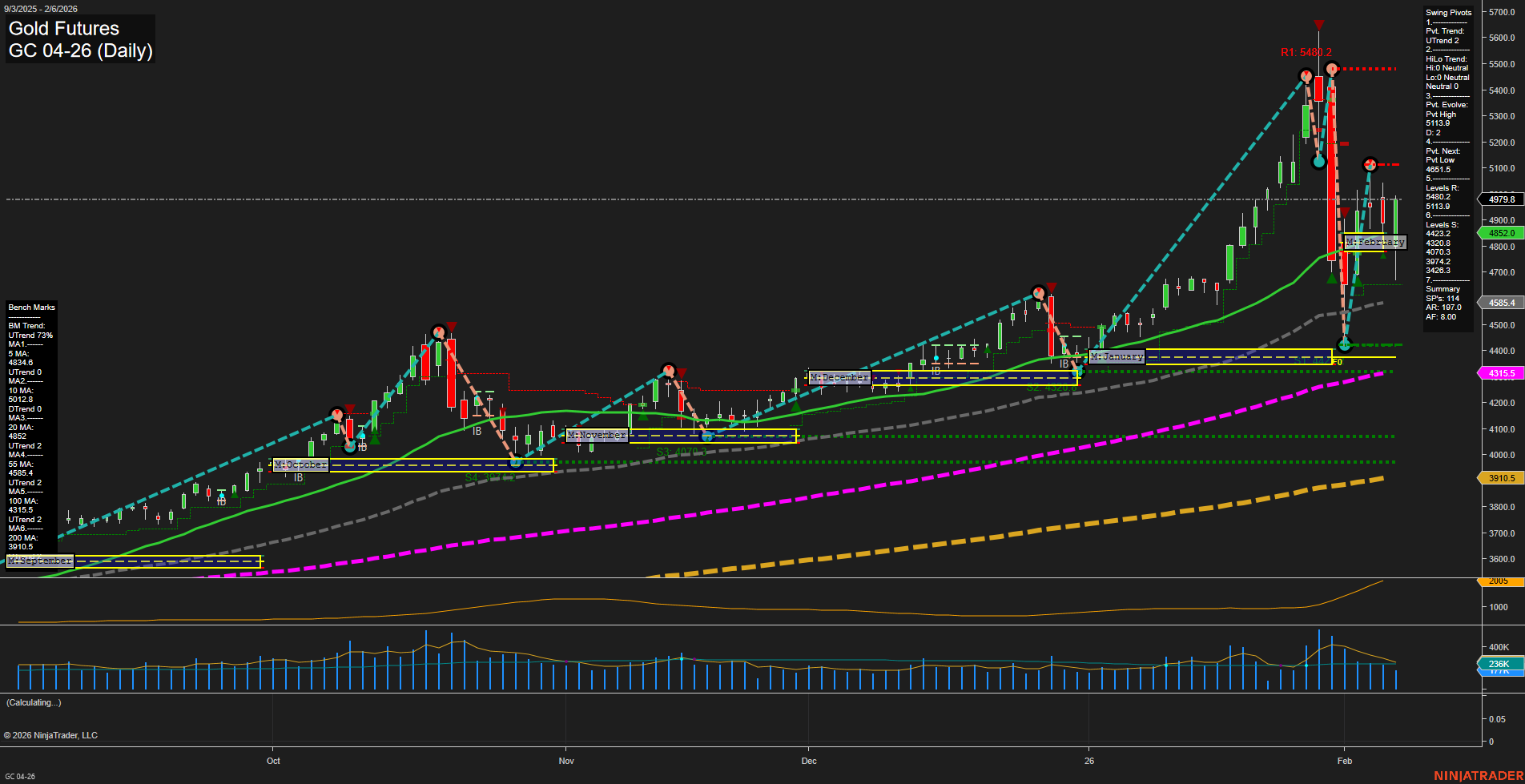 GC Gold Futures Daily Chart Analysis: 2026-Feb-08 18:11 CT