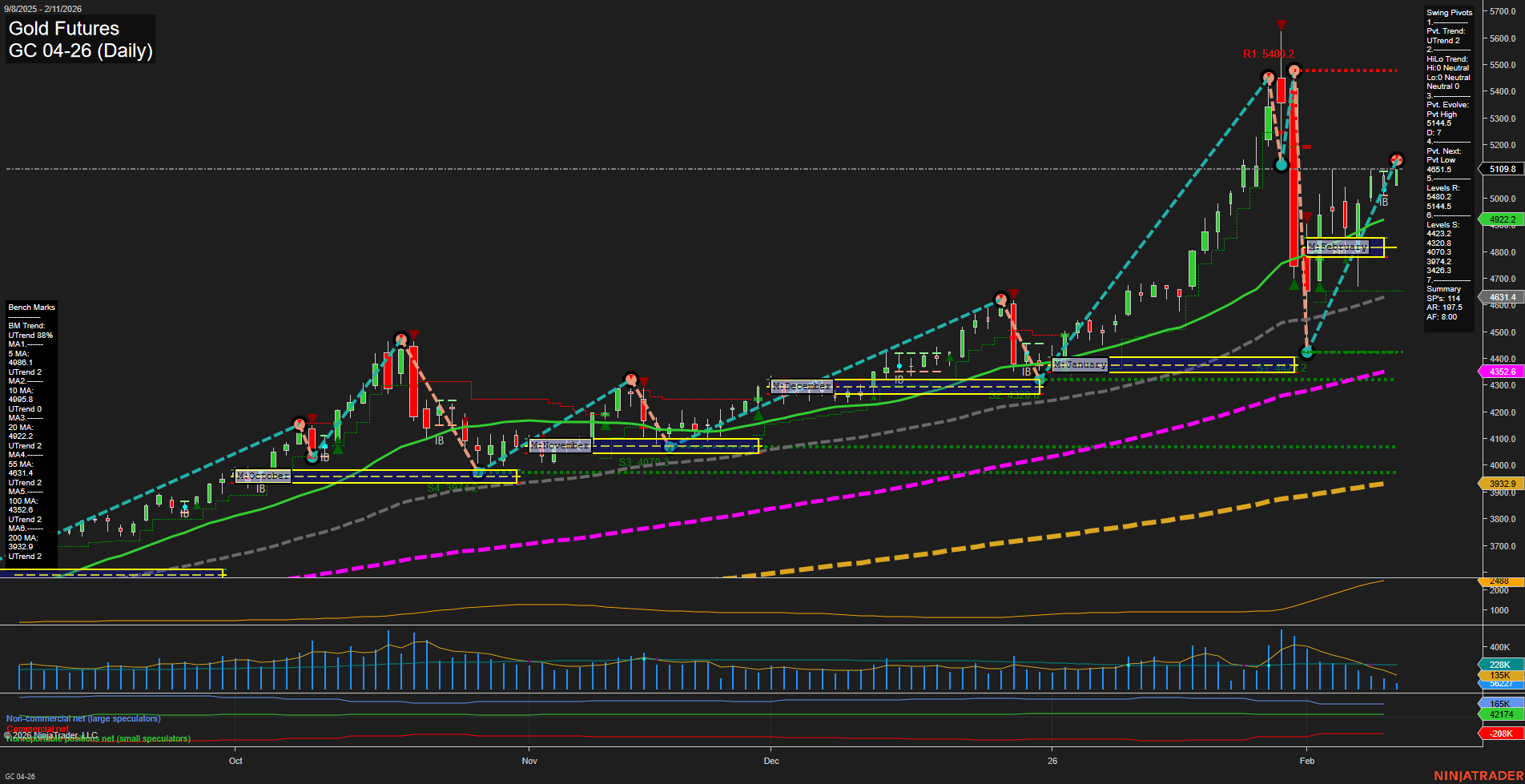 GC Gold Futures Daily Chart Analysis: 2026-Feb-11 07:11 CT