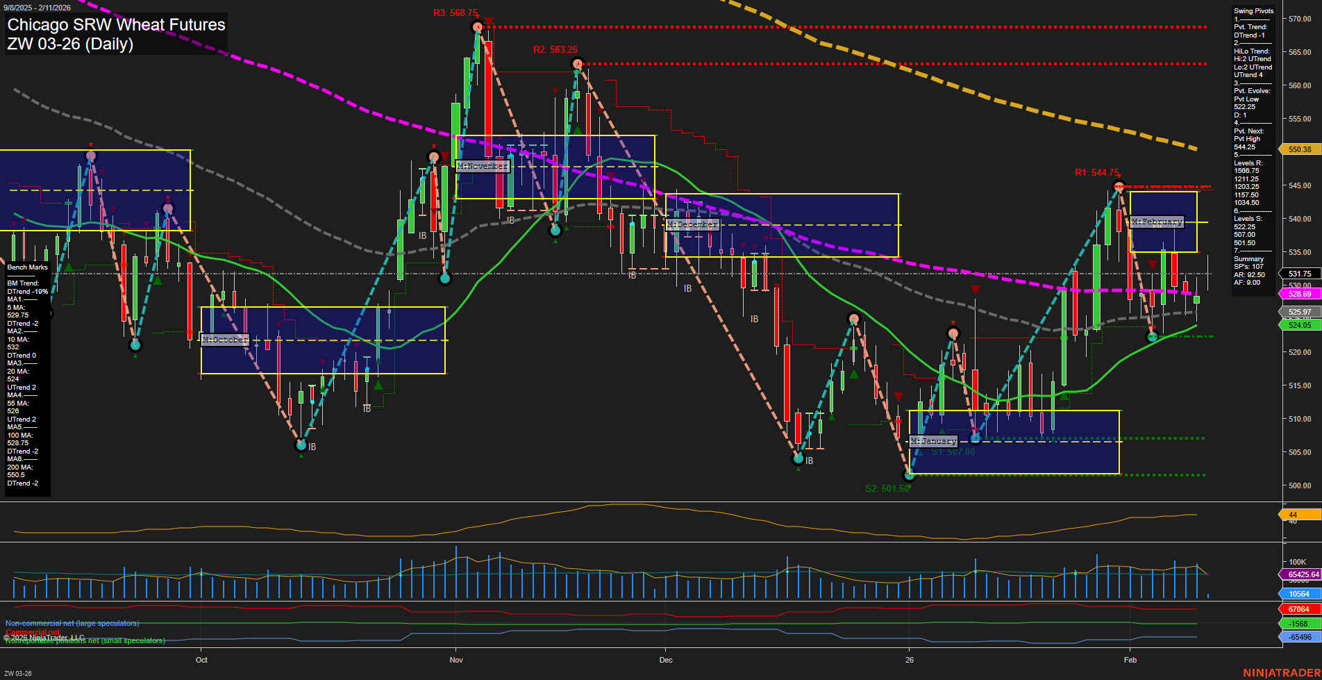 ZW Chicago SRW Wheat Futures Daily Chart Analysis: 2026-Feb-11 07:23 CT