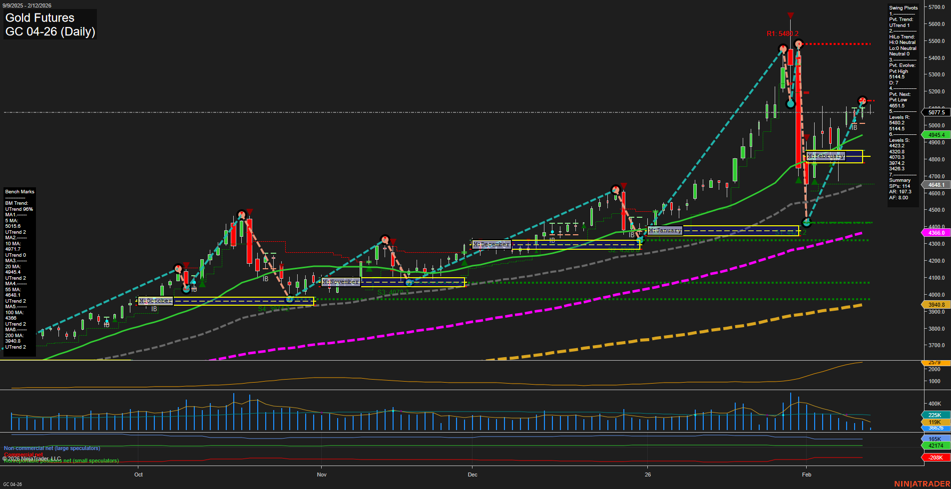 GC Gold Futures Daily Chart Analysis: 2026-Feb-12 07:13 CT