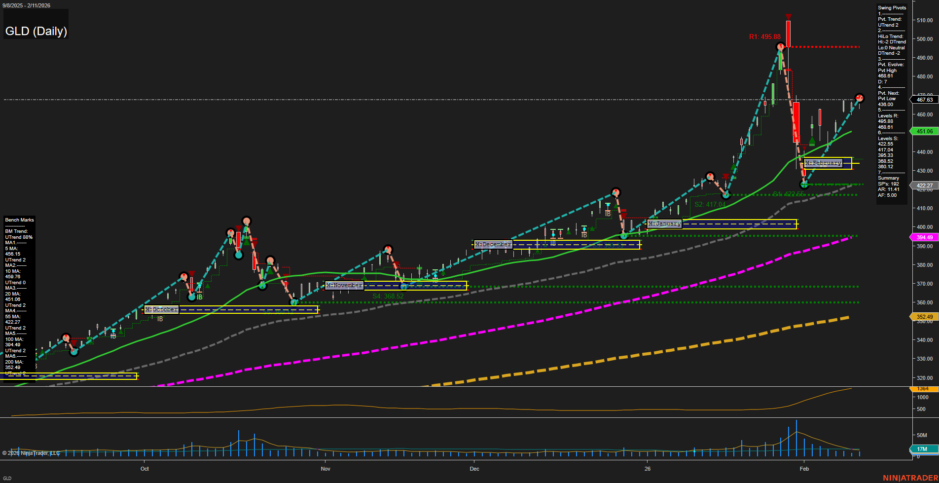GLD SPDR Gold Shares Daily Chart Analysis: 2026-Feb-12 07:14 CT