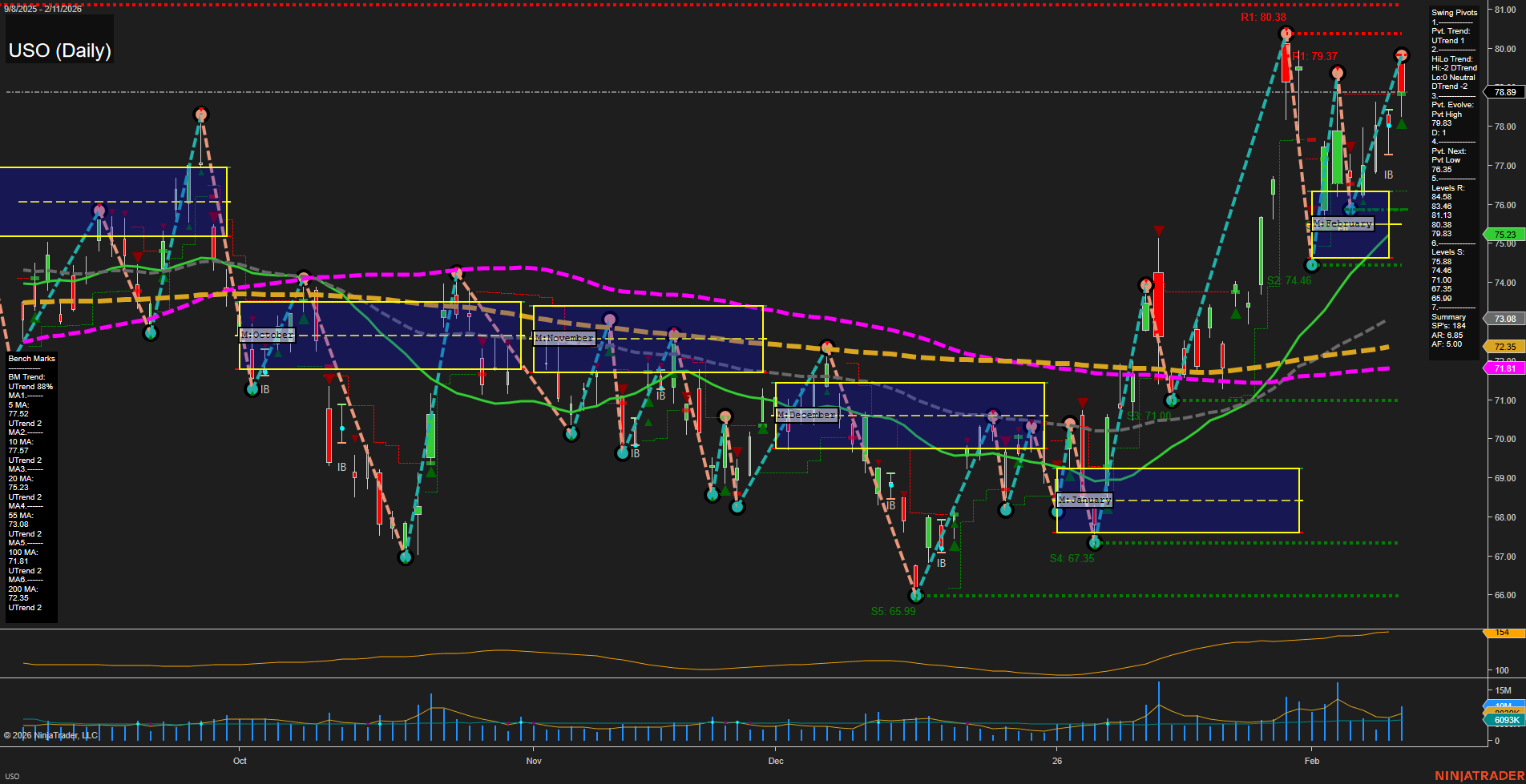 USO United States Oil Fund LP Daily Chart Analysis: 2026-Feb-12 07:19 CT