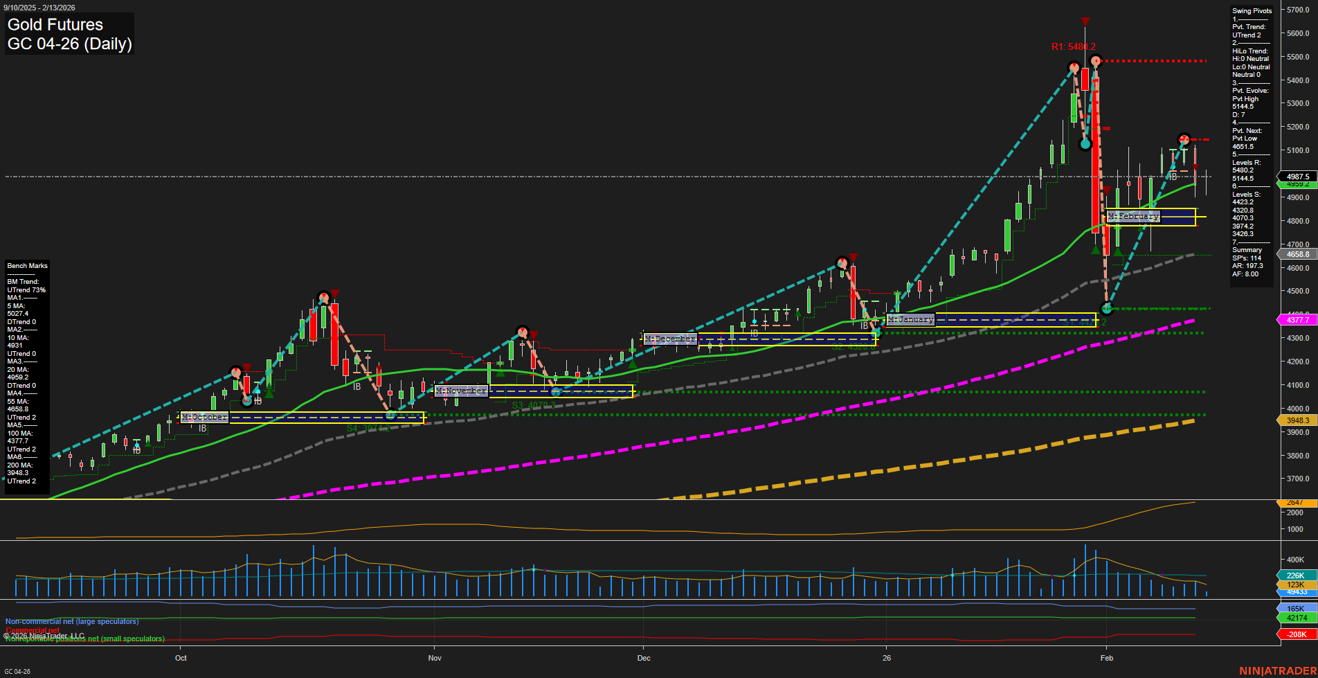 GC Gold Futures Daily Chart Analysis: 2026-Feb-13 07:08 CT