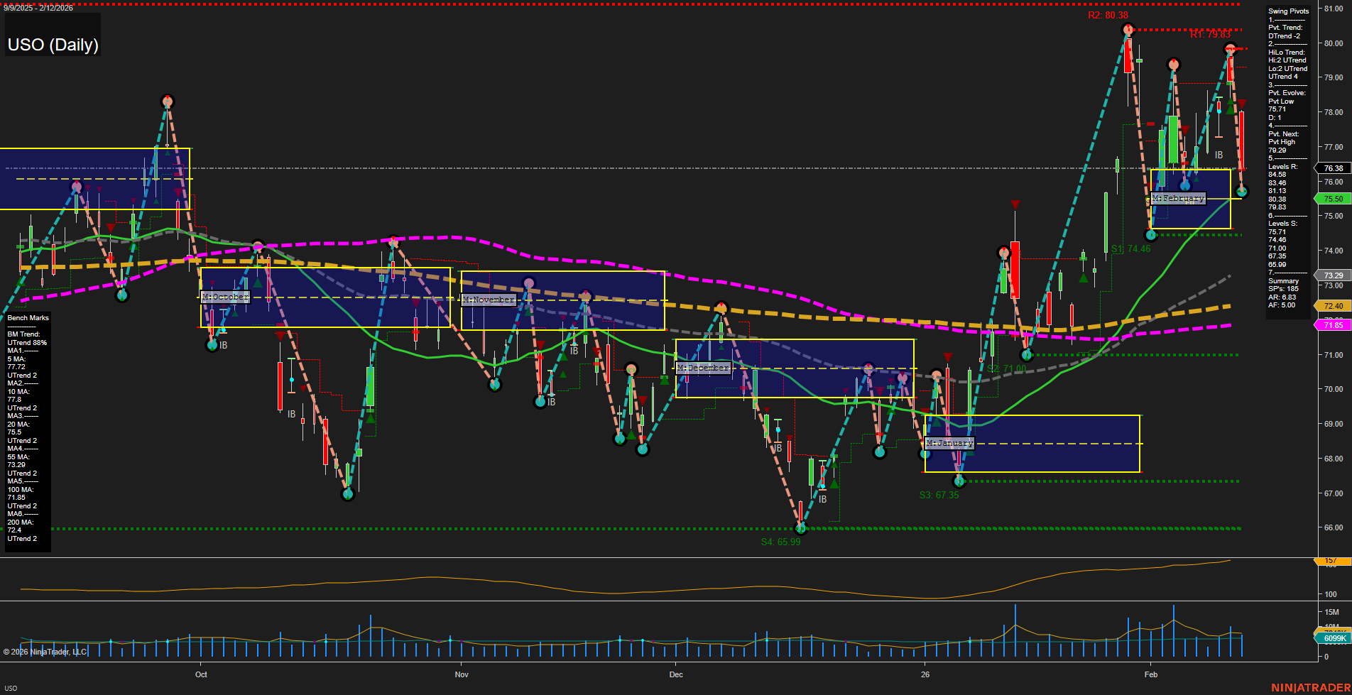 USO United States Oil Fund LP Daily Chart Analysis: 2026-Feb-13 07:17 CT