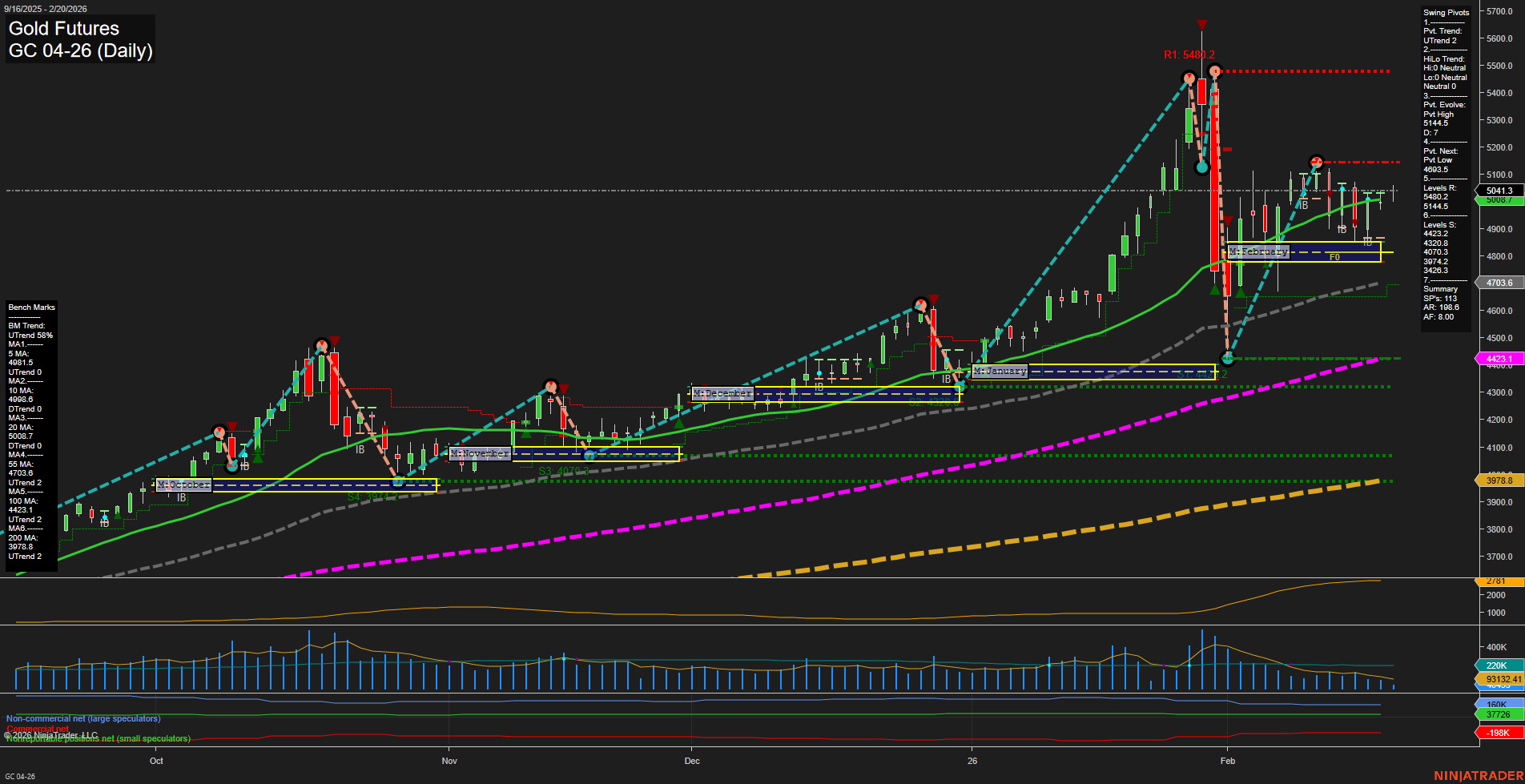 GC Gold Futures Daily Chart Analysis: 2026-Feb-20 07:09 CT