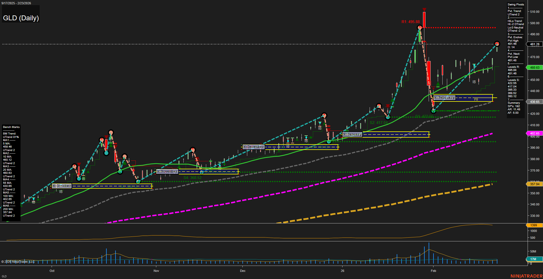 GLD SPDR Gold Shares Daily Chart Analysis: 2026-Feb-24 07:06 CT