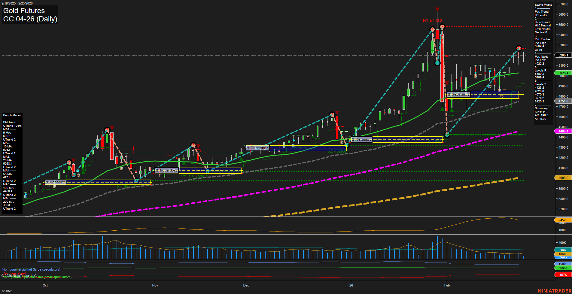 GC Gold Futures Daily Chart Analysis: 2026-Feb-25 07:06 CT